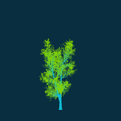 Treee