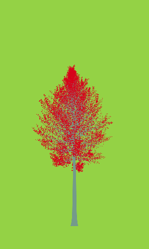 Treee