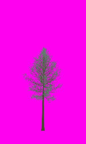 Treee