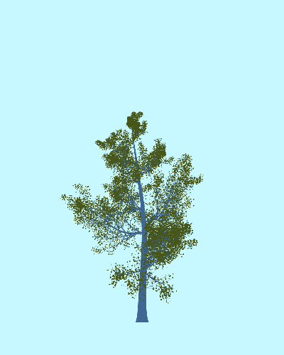 Treee