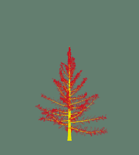 Treee