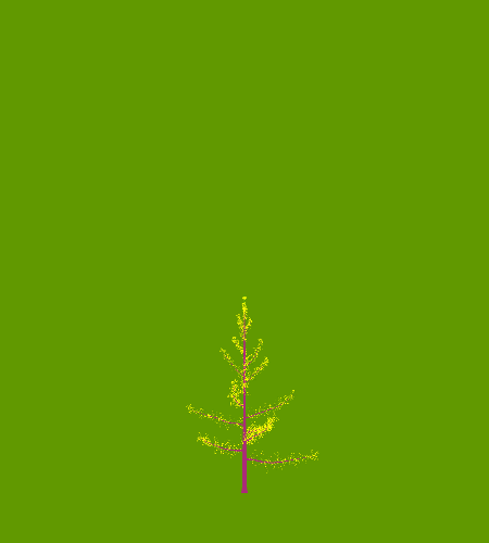 Treee
