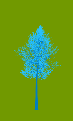 Treee