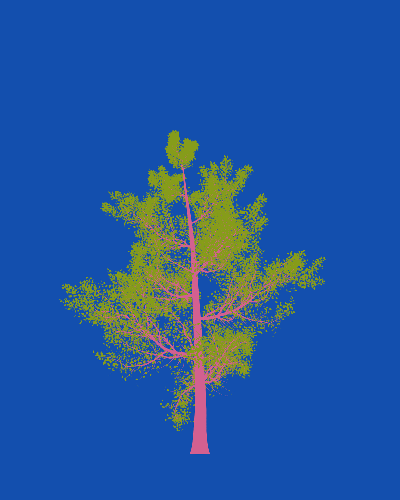 Treee