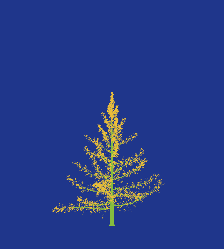 Treee