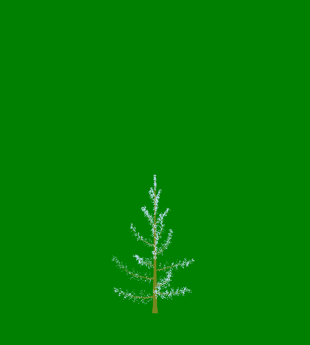 Treee