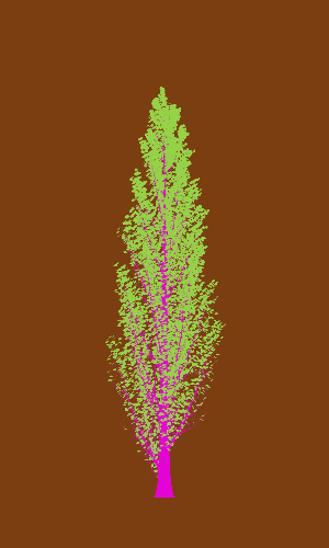 Treee