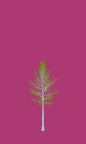 Treee