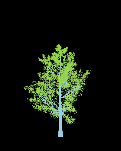 Treee