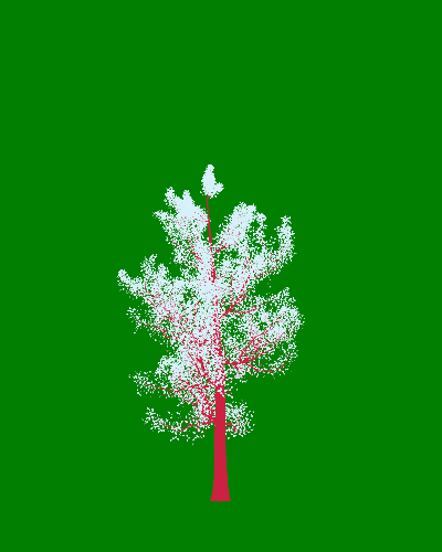 Treee
