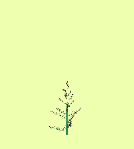Treee