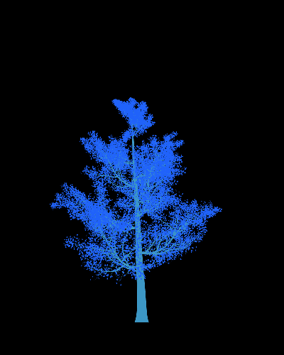 Treee