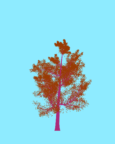 Treee