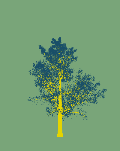 Treee