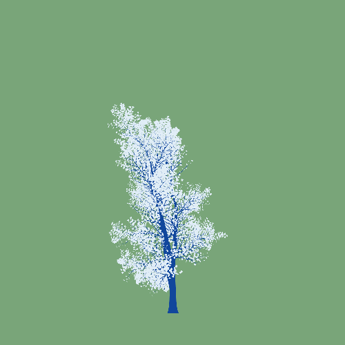 Treee