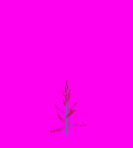 Treee