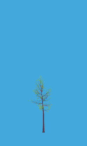 Treee