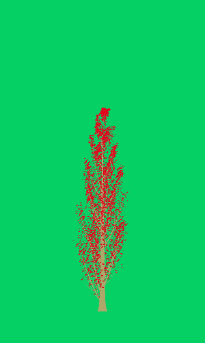 Treee