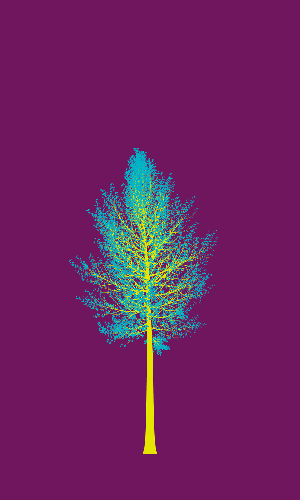 Treee