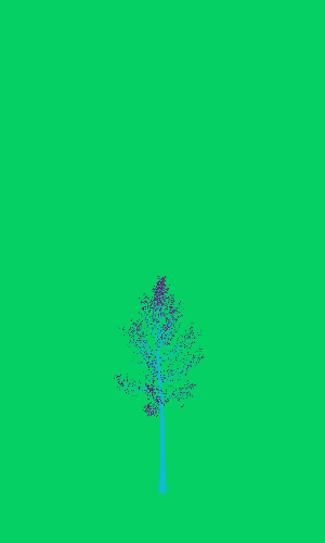 Treee