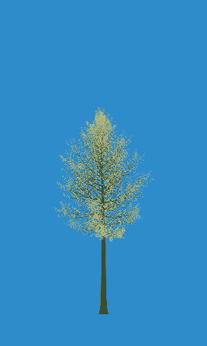 Treee