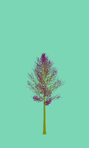 Treee
