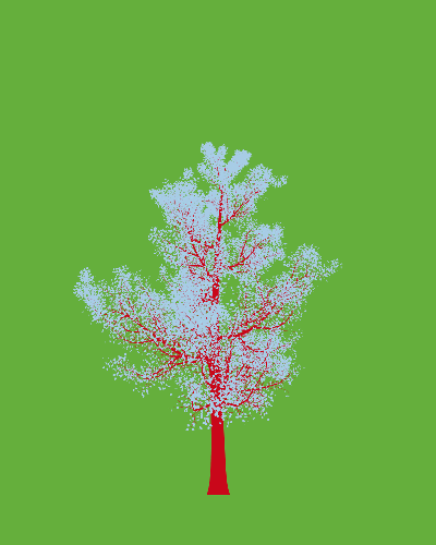 Treee