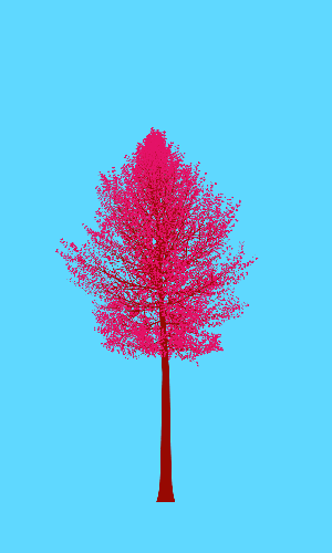 Treee