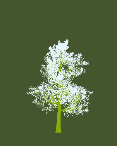 Treee