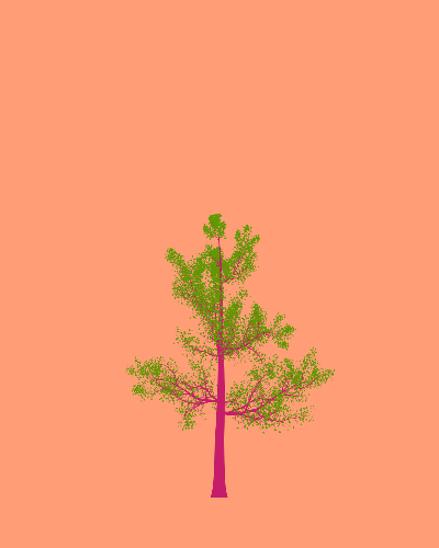 Treee