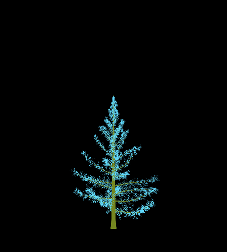 Treee
