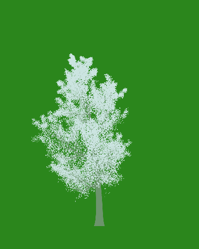 Treee