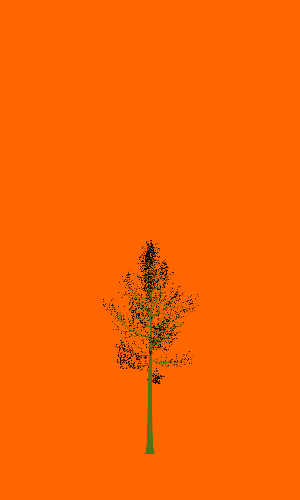 Treee