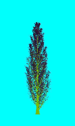 Treee