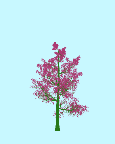 Treee