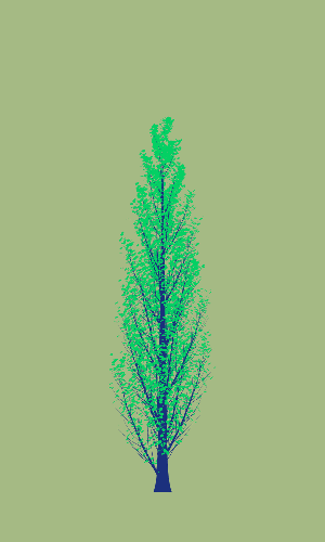 Treee