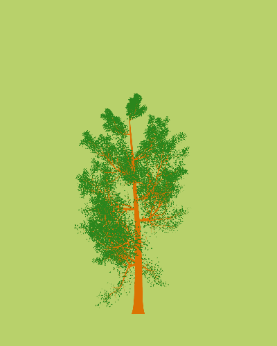 Treee