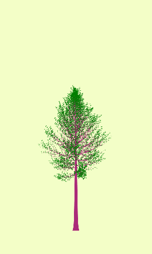 Treee