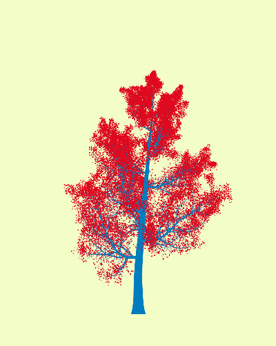 Treee