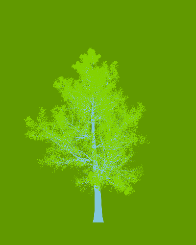 Treee