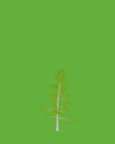 Treee