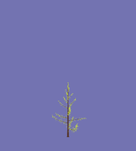 Treee