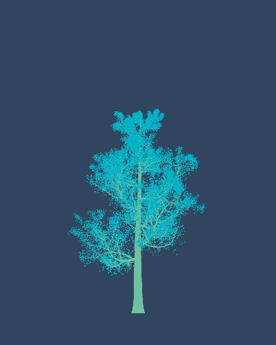 Treee