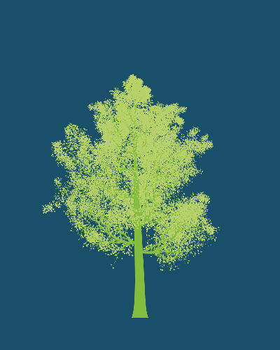Treee