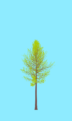 Treee