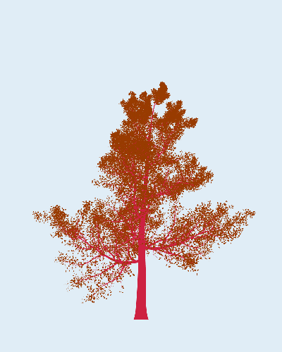 Treee