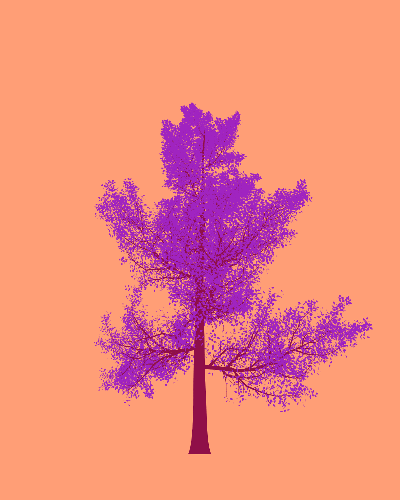 Treee