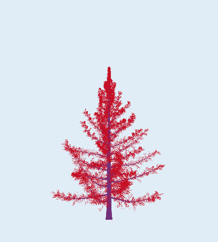 Treee