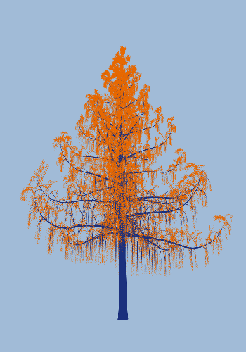 Treee