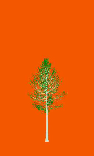 Treee